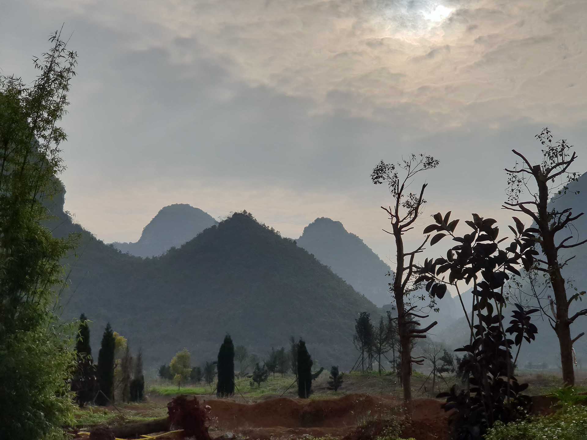 Scenery