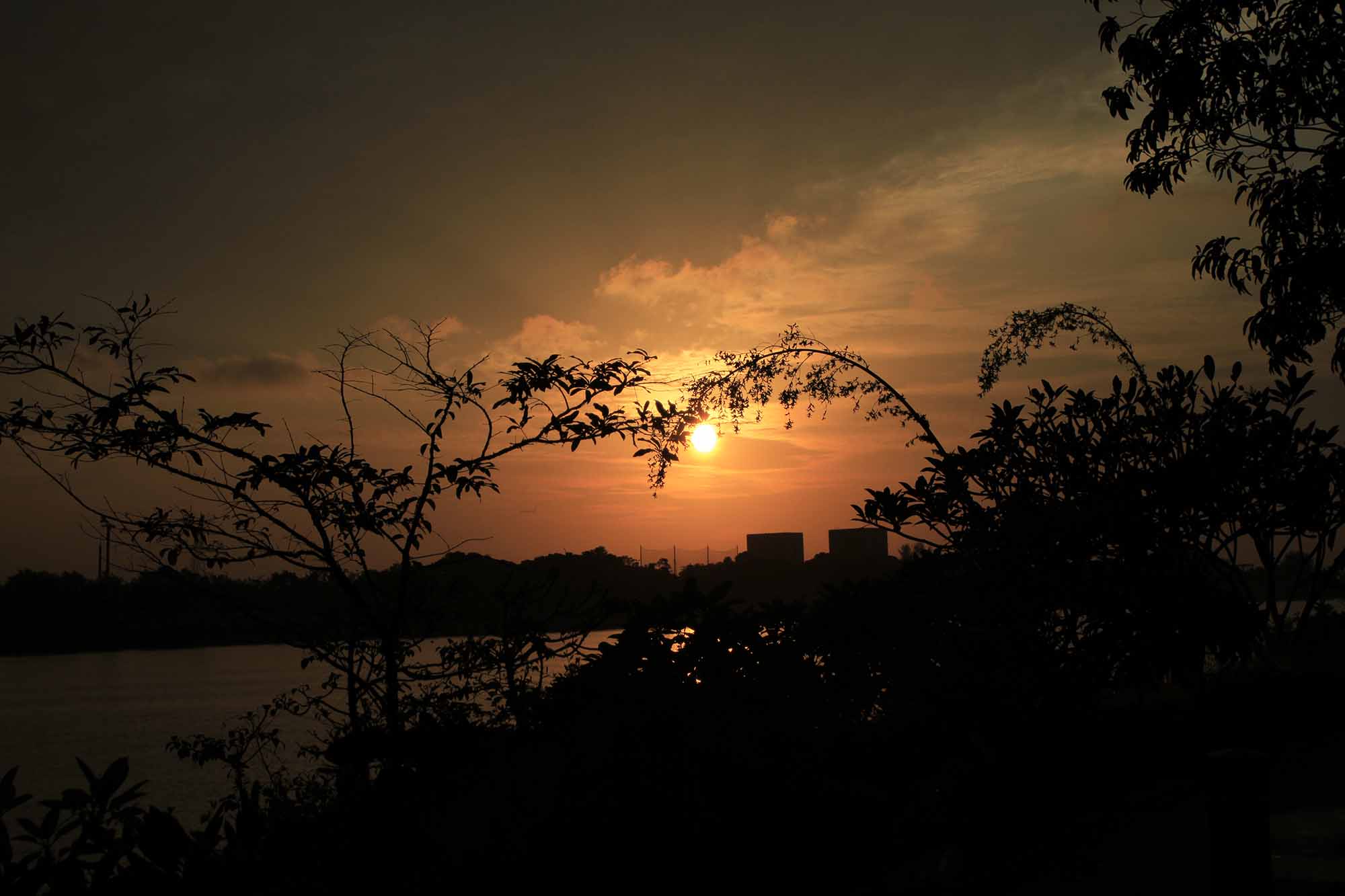 Sunrise